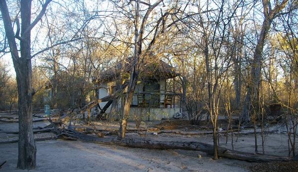 Voyage sur-mesure, Bungalows entourés de bush